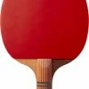 Coupon 🔥 Prince Contender Table Tennis Racket For Unisex 🥰